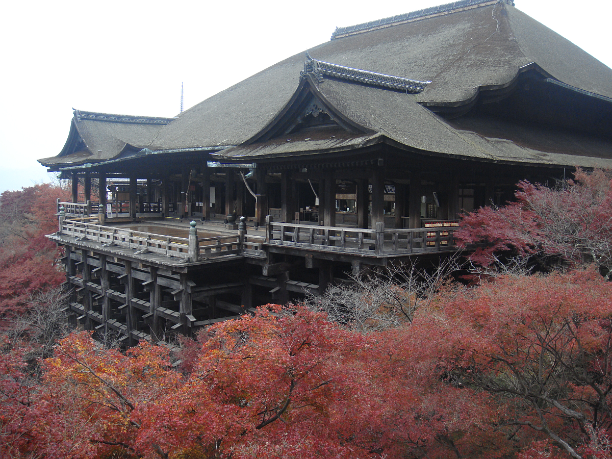 タンブラー・マグカップ 清水寺史 第3巻 史料 / 清水寺(京都市) 【全集